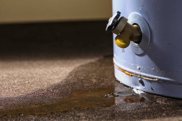 Best 24/7 water damage repair  in Gloversville, NY