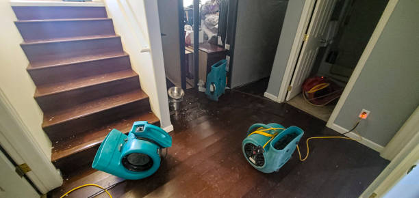 Best Basement water damage restoration  in Gloversville, NY