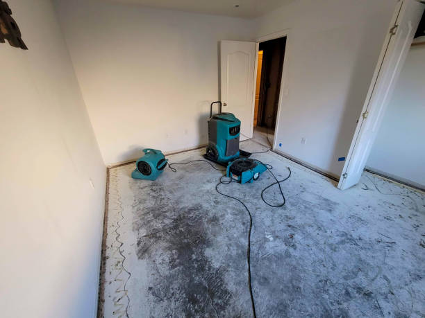 Best Ceiling water damage repair  in Gloversville, NY