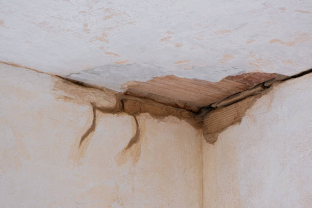 Best Mold removal after water damage  in Gloversville, NY