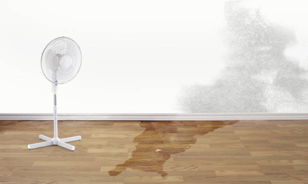Water damage restoration insurance claims in Gloversville, NY