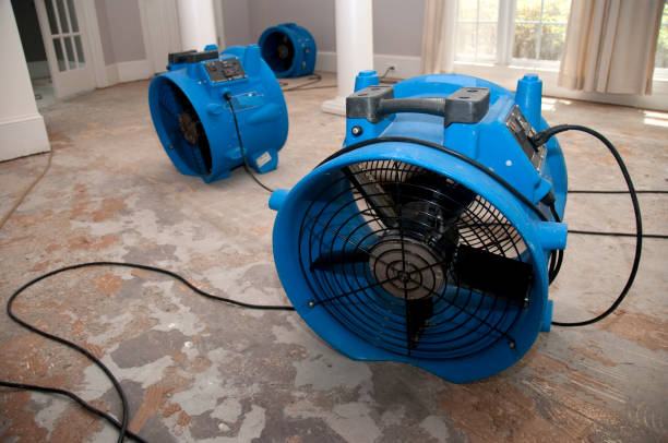 Best Fire Damage Restoration  in Gloversville, NY