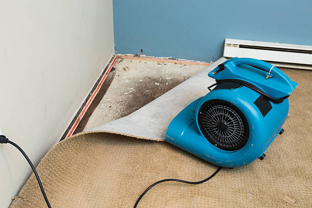 Best Flood damage cleanup  in Gloversville, NY